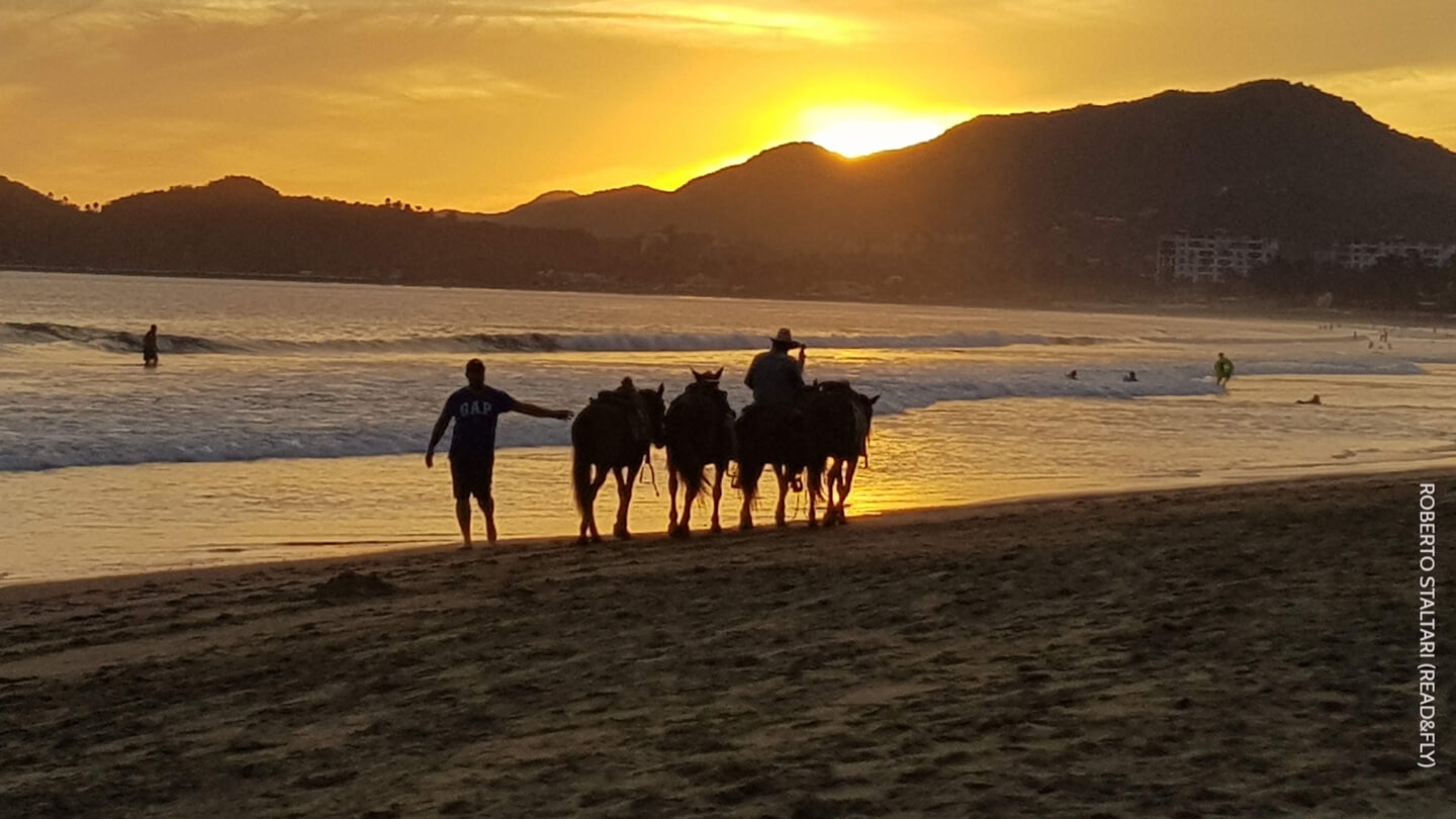 Manzaillos Guadalajara