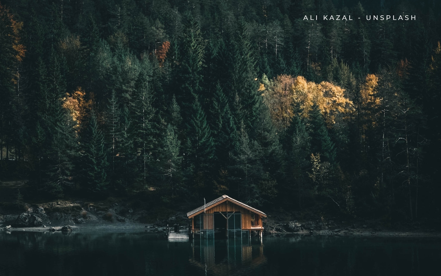 Y llovieron pájaros, libro de Jocelyne Saucier