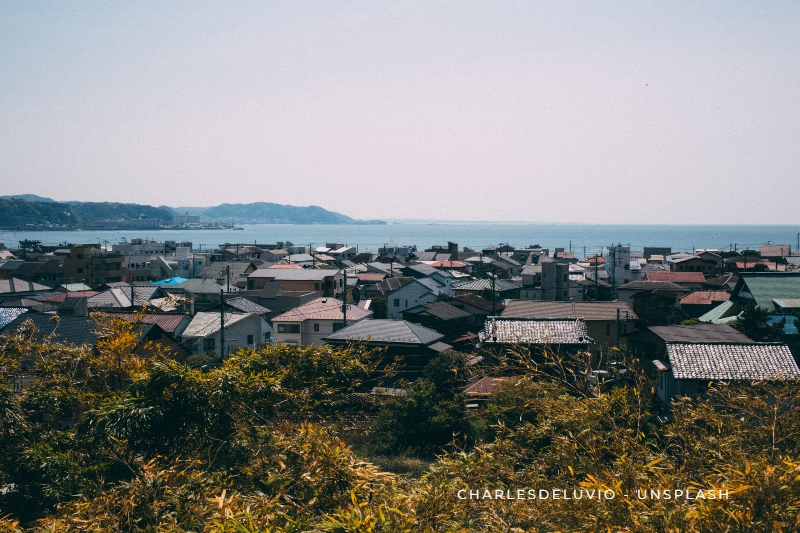 Lo bello y lo triste | Yasunari Kawabata | Read & Fly
