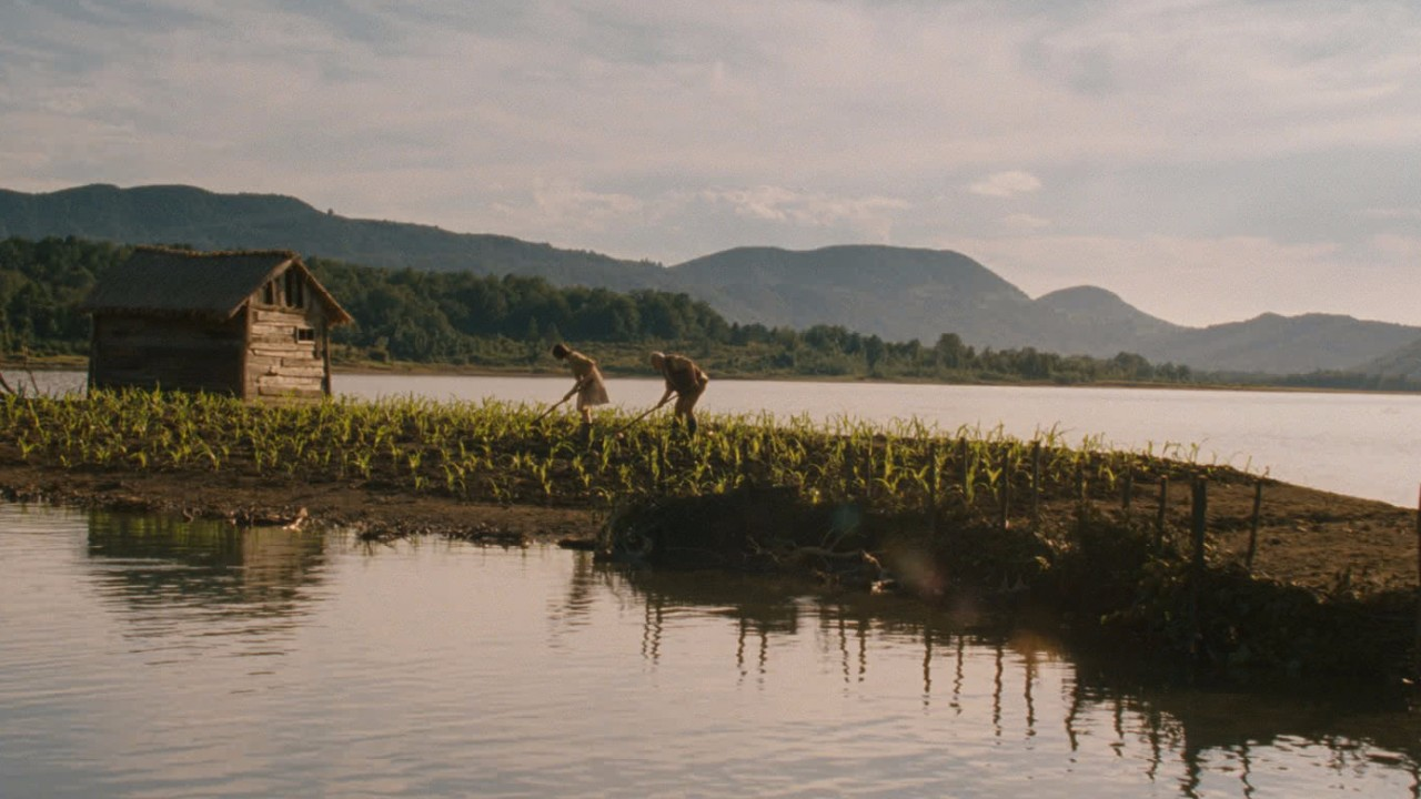 Corn Island opinión