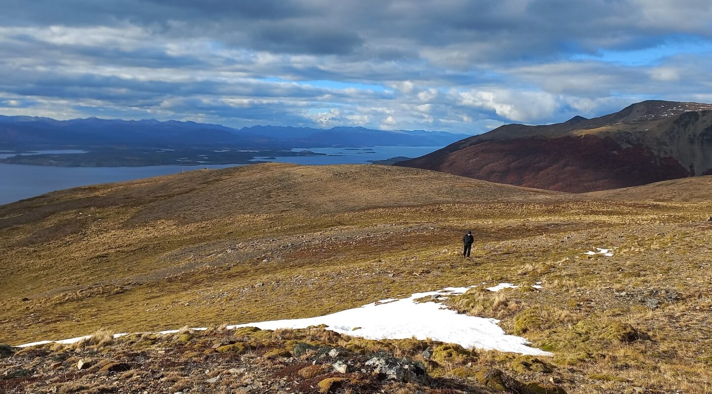 qué hacer en puerto williams