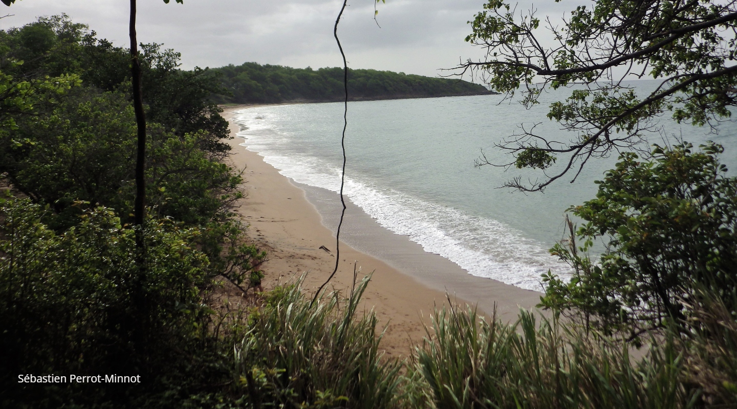 Libro Lluvia y viento sobre Télumée Milagro